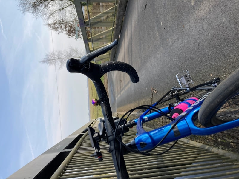 A front view of my blue Trek Domane AL3 leaning against the metal rail of a small bridge with a flat lanscape and a few naked trees in the background